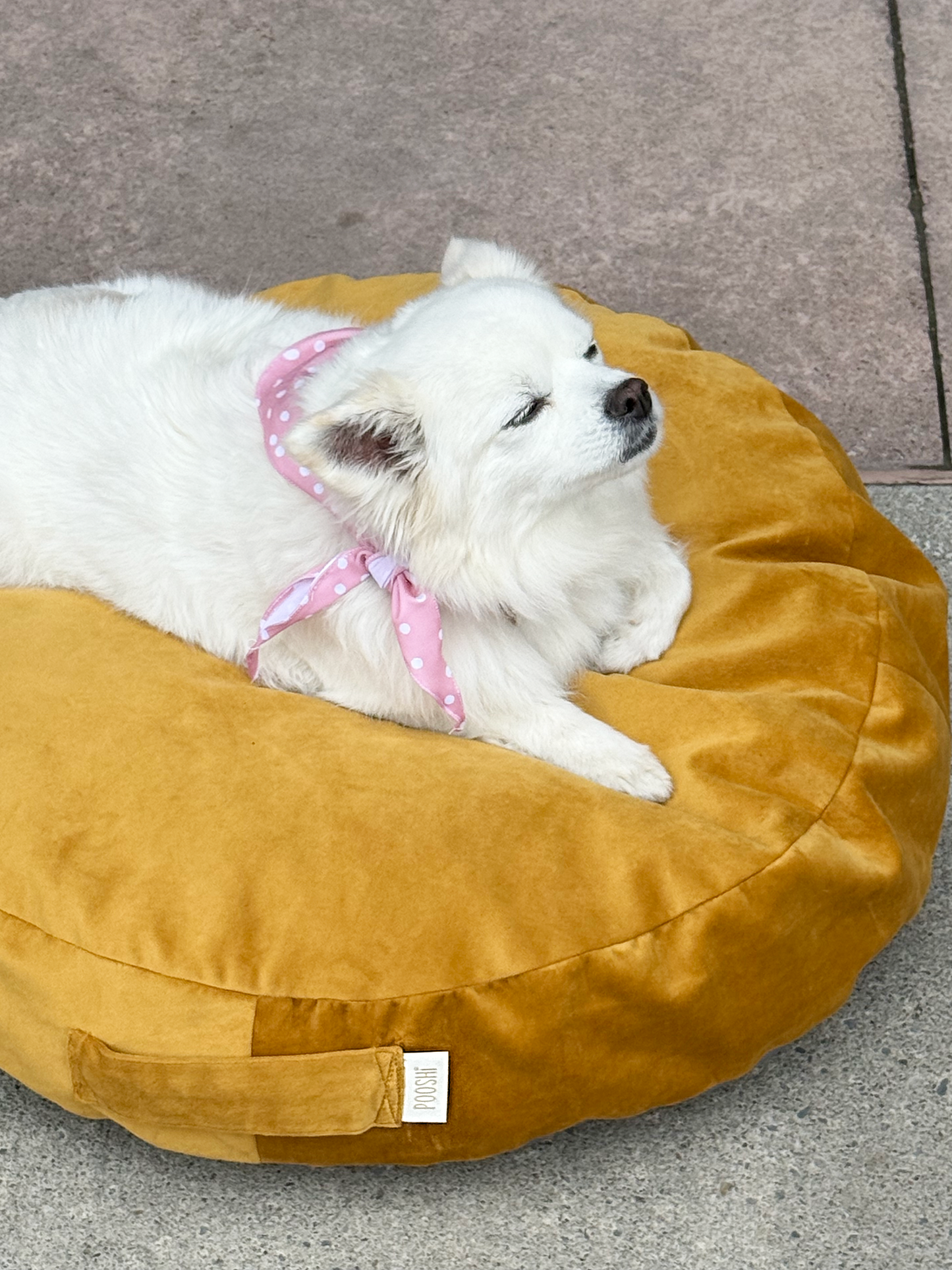 The Matchy Summer Set – Bandana, Pet Scarf & Scrunchie