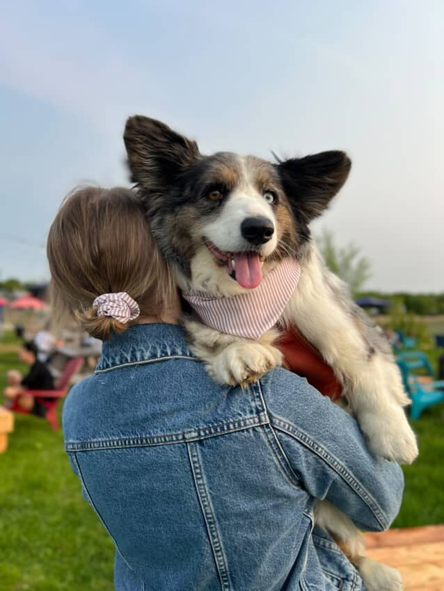 The Matchy Summer Set – Bandana, Pet Scarf & Scrunchie