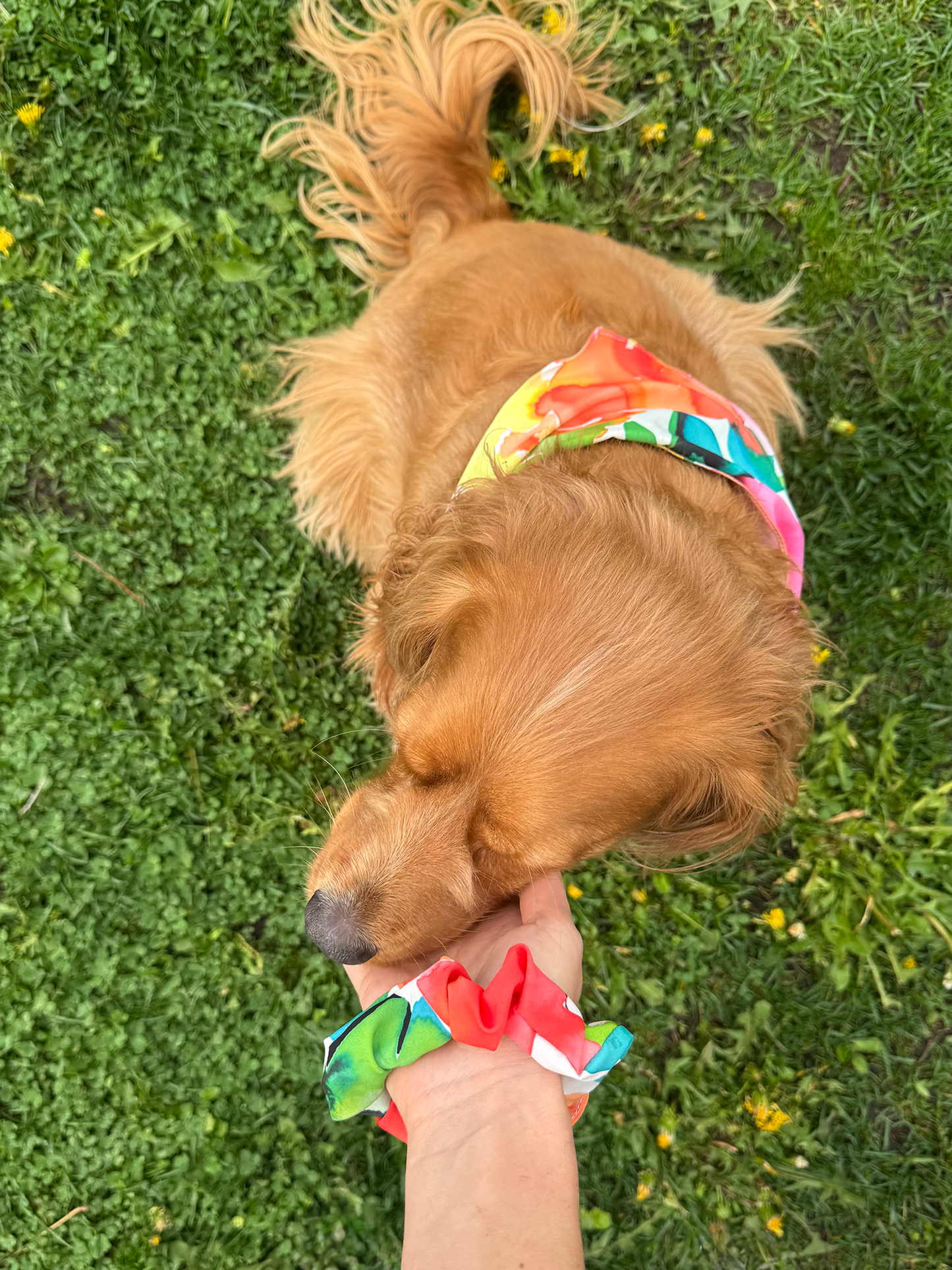 The Matchy Summer Set – Bandana, Pet Scarf & Scrunchie