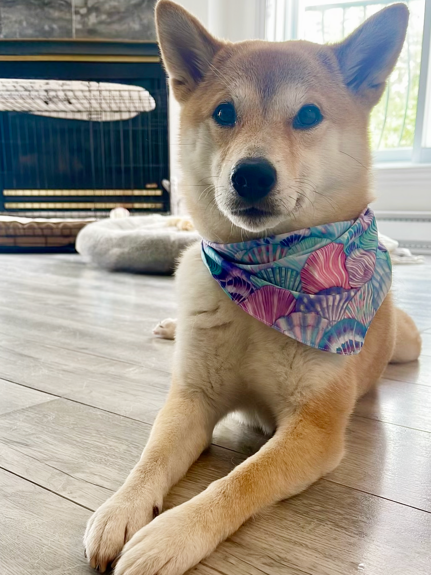 The Matchy Summer Set – Bandana, Pet Scarf & Scrunchie