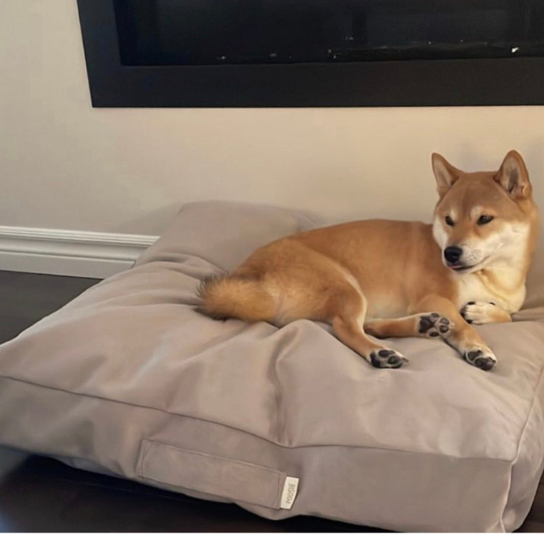 Biscuit Microsuede