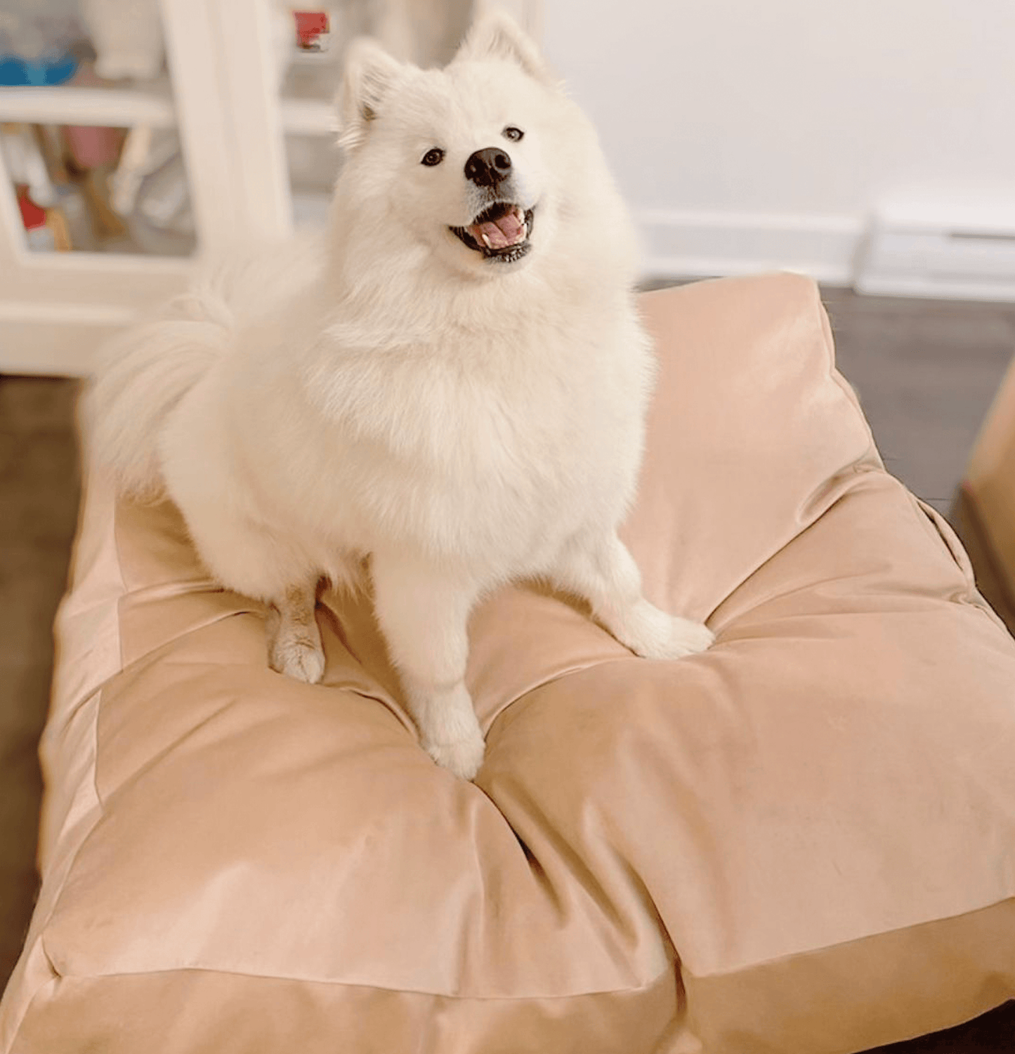 Biscuit Microsuede