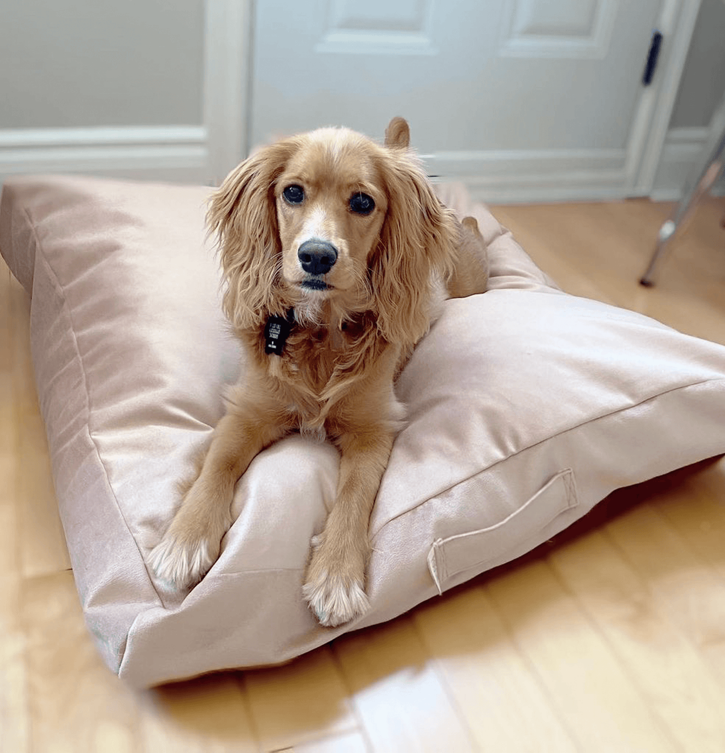 Biscuit Microsuede