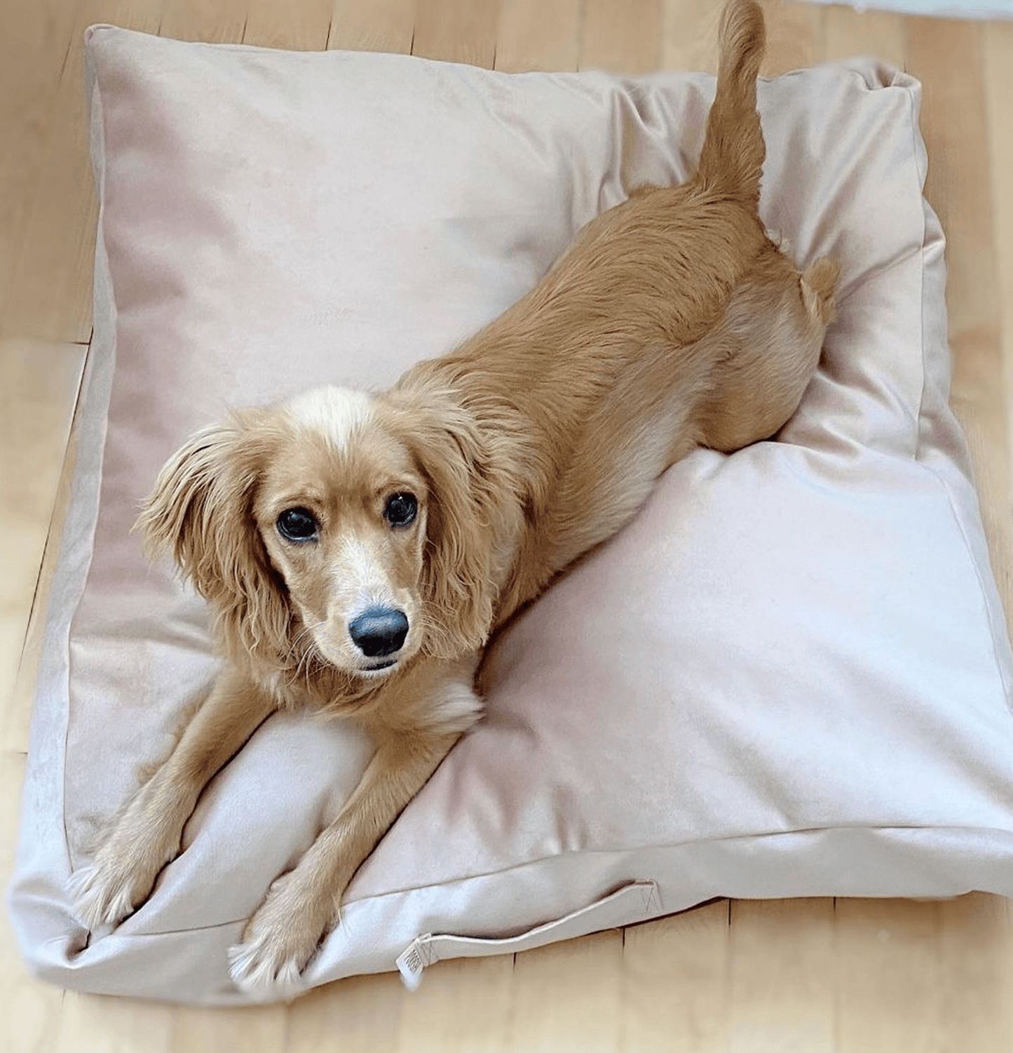 Biscuit Microsuede