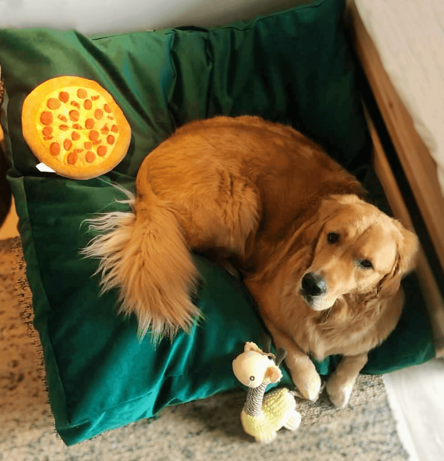 Biscuit Microsuede
