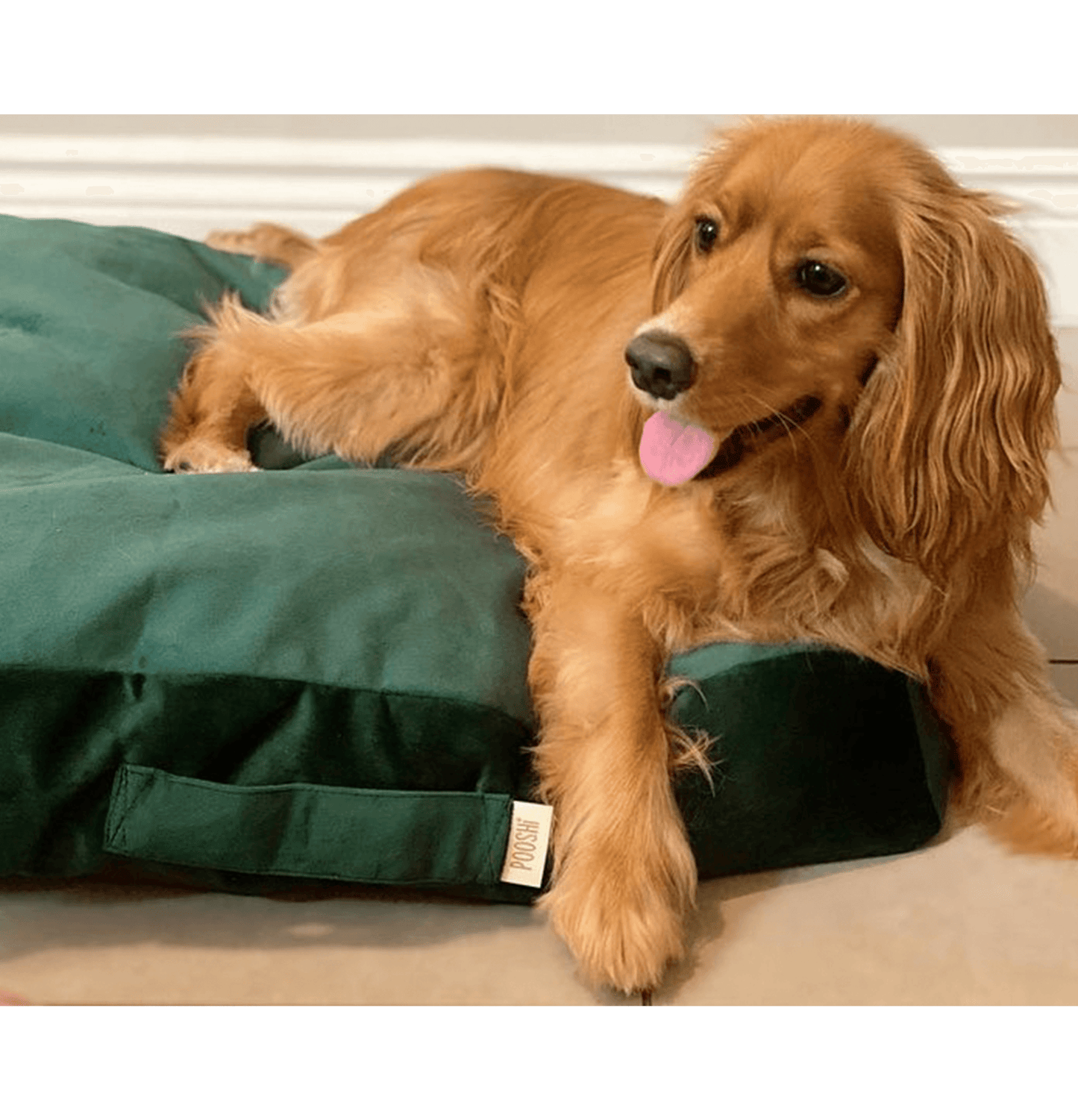 Biscuit Microsuede