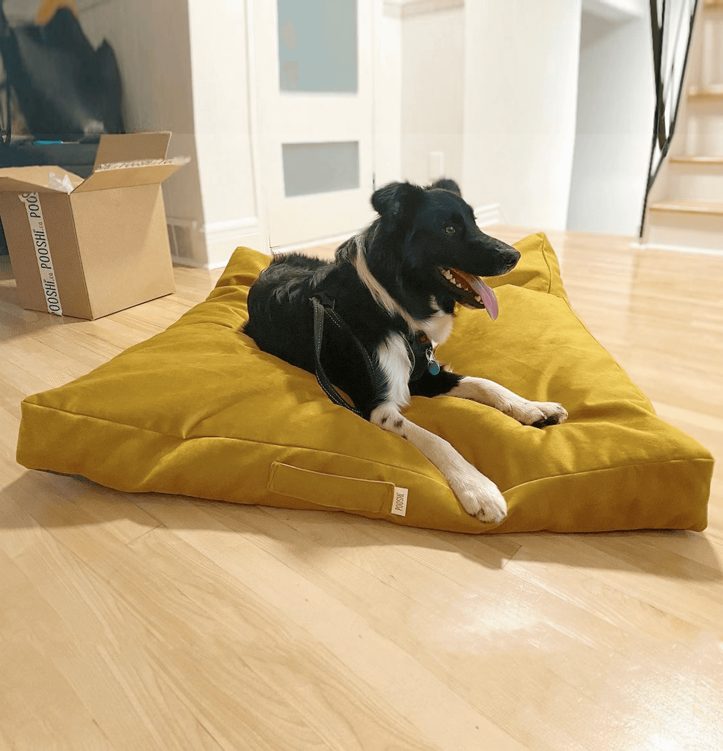 Biscuit Microsuede