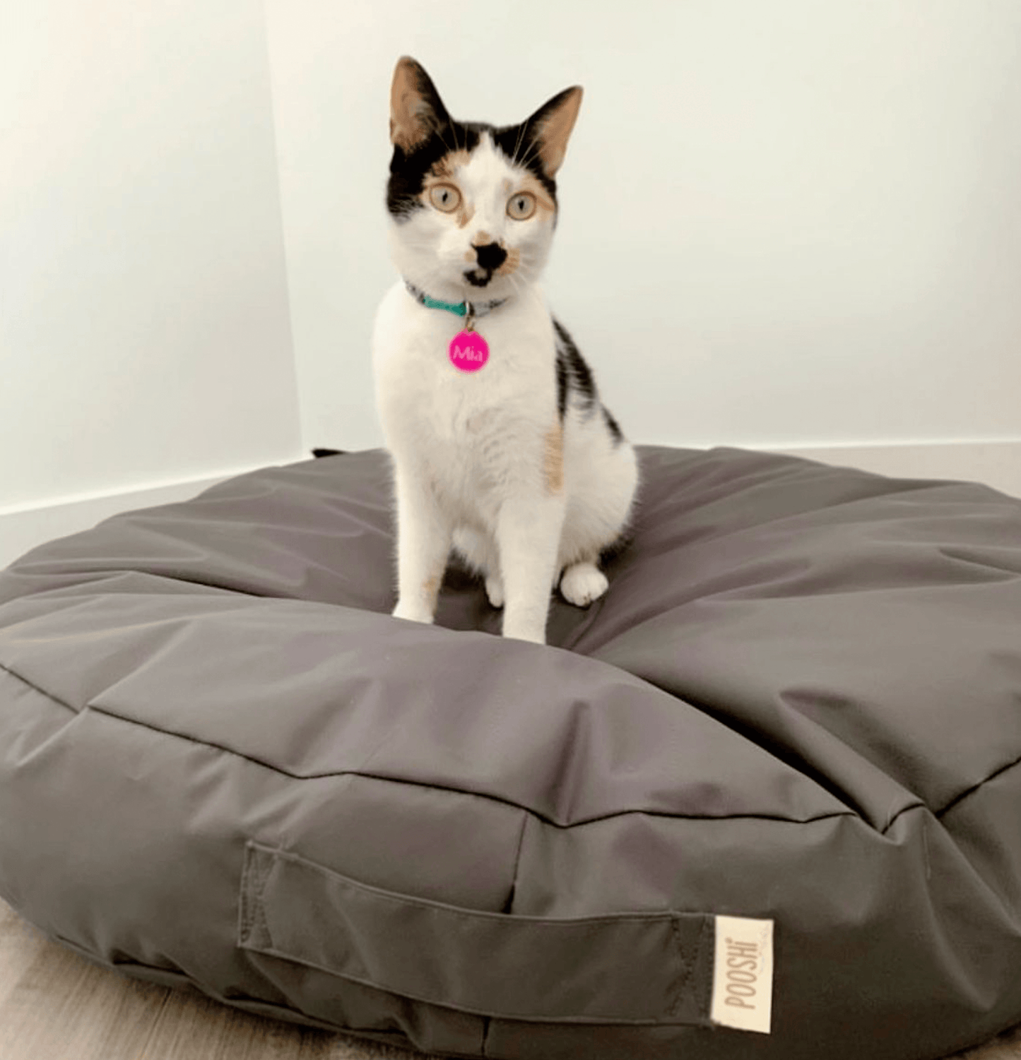 Macaron Nylon