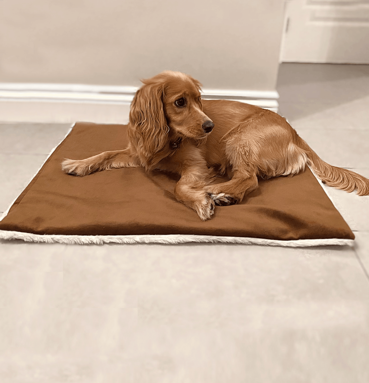 Rolo Microsuede - Fur