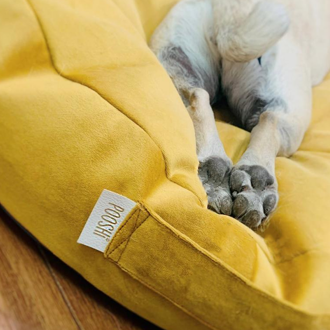 5 Must-Have Features for the Perfect Pet Bed