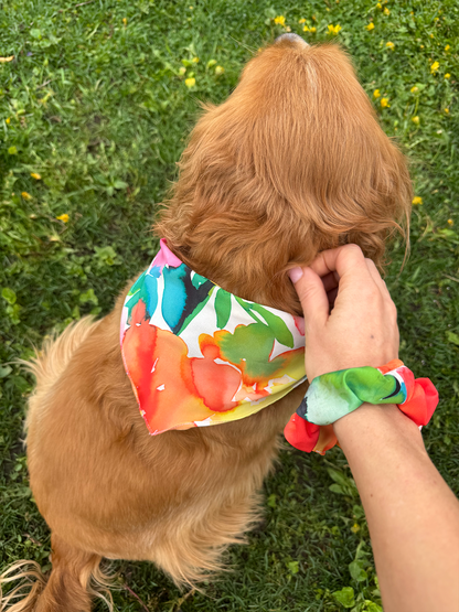 The Matchy Summer Set – Bandana, Pet Scarf & Scrunchie