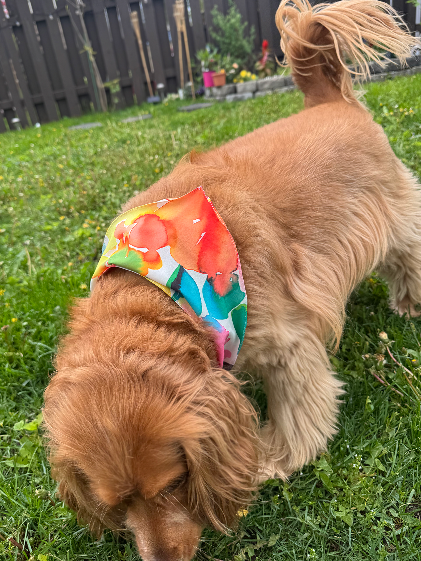 The Matchy Summer Set – Bandana, Pet Scarf & Scrunchie