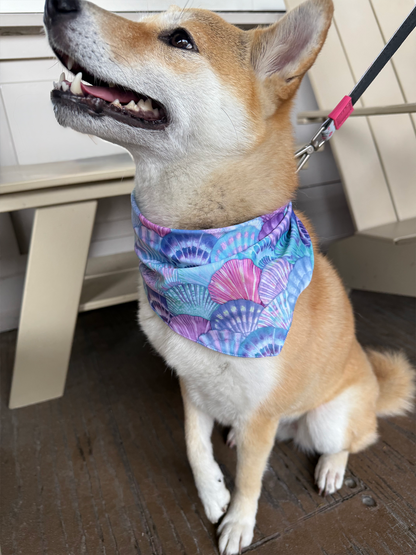 The Matchy Summer Set – Bandana, Pet Scarf & Scrunchie