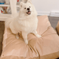 Biscuit Microsuede