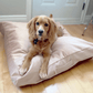 Biscuit Microsuede