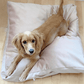 Biscuit Microsuede