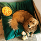 Biscuit Microsuede