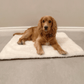 Rolo Microsuède - Fur