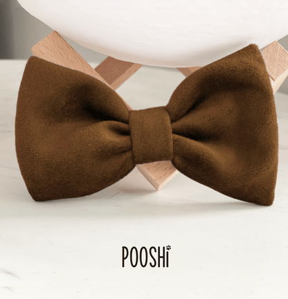 Papillon Bow