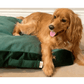 Biscuit Microsuede