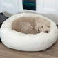 Donut