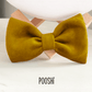 Papillon Bow
