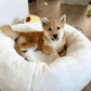 Donut