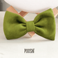 Papillon Bow
