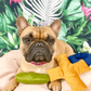 Chips Toys Microsuede
